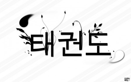 Tae Kwon Do, escrito en coreano.